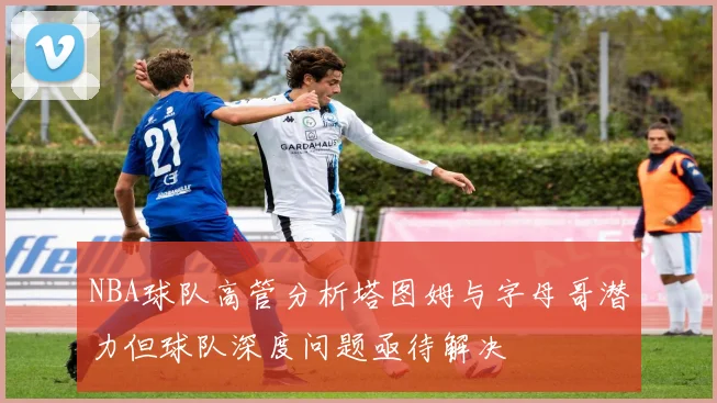 NBA球队高管分析塔图姆与字母哥潜力但球队深度问题亟待解决