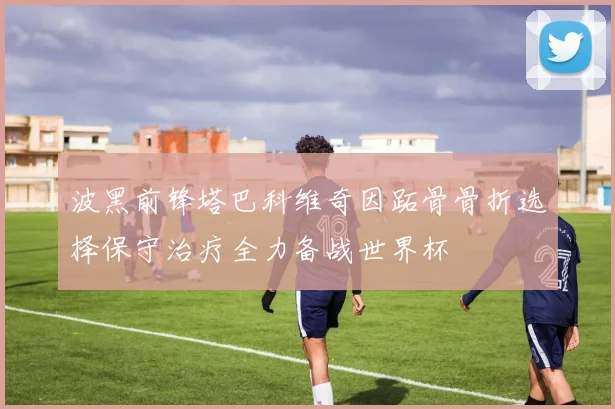 波黑前锋塔巴科维奇因跖骨骨折选择保守治疗全力备战世界杯