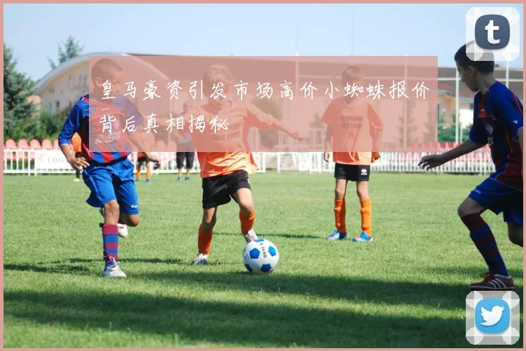 皇马豪资引发市场高价小蜘蛛报价背后真相揭秘