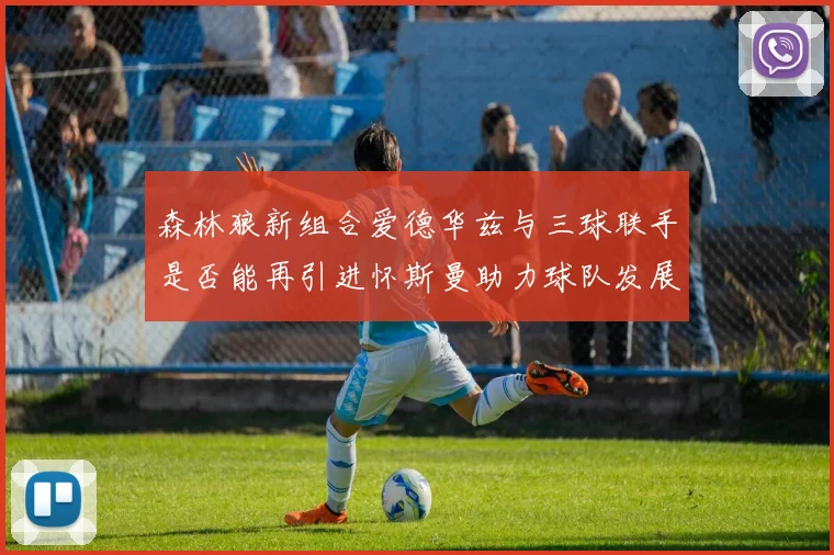 森林狼新组合爱德华兹与三球联手是否能再引进怀斯曼助力球队发展